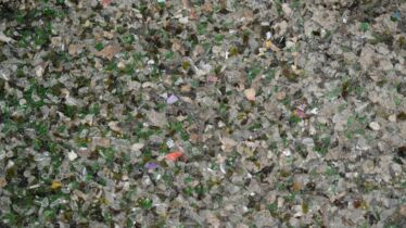 Where Does Your Glass Recycling Really Go